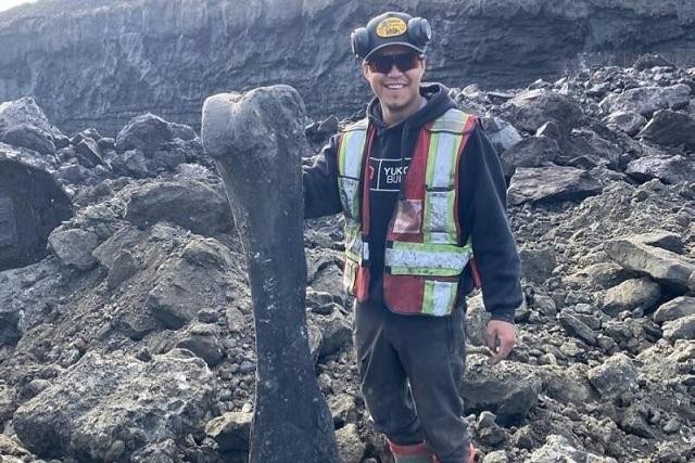 Thợ mỏ Trey Charlie chụp ảnh bên khúc xương voi ma mút tiền sử khổng lồ được anh tìm thấy ở mỏ Little Flake gần thành phố Dawson, Canada.