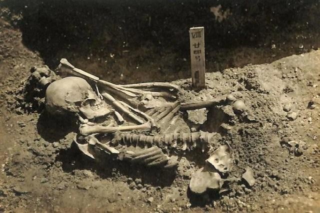 100 năm sau khi khai quật được hài cốt người tiền sử cụt chân Tsukumo số 24, cái chết kinh hoàng của nạn nhân mới được các nhà khoa học giải mã.