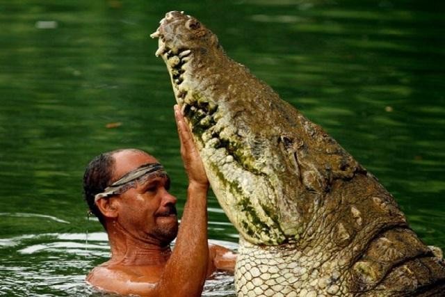 Gilberto "Chito" Shedden và cá sấu Pacho là đôi bạn tri kỷ nổi tiếng thế giới.