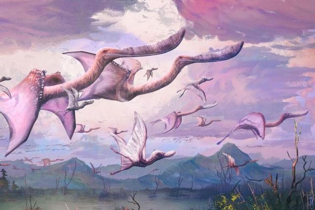 Pterosaurs được cho là có thể cất cánh ngay sau khi nở.