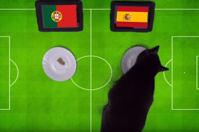 Mèo đen Cass dự đoán kết quả giữa Bồ Đào Nha và Tây Ban Nha tại World Cup 2018