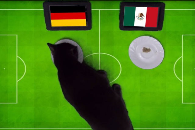 ‘Tiên tri’ mèo đen đoán Mexico sẽ gục ngã trước Đức.