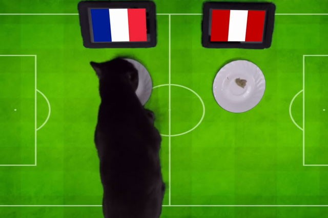 Mèo Cass dự đoán Pháp sẽ đánh bại Peru.
