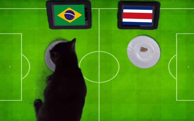 "Tiên tri" mèo đen dự đoán Brazil là đội giành chiến thắng.