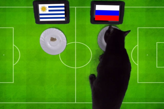 Mèo Cass dự đoán Nga sẽ đánh bại Uruguay.