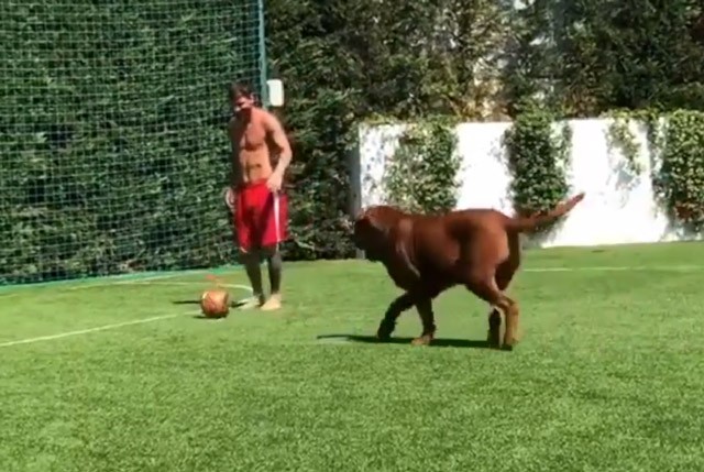 Clip: Messi phô diễn kỹ thuật cá nhân điêu luyện bên cạnh cún cưng