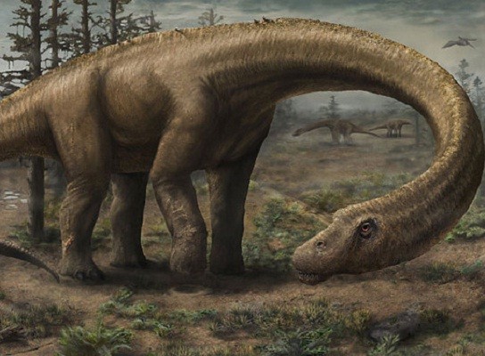 Loài khủng long lớn nhất từng tồn tại trên Trái Đất 