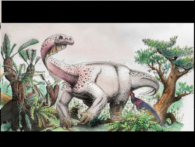 Phát hiện ra loài khủng long mới có kích thước 'siêu khủng'