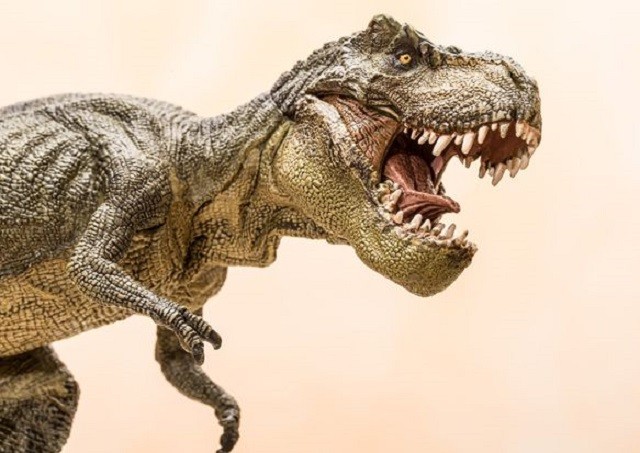 Những sự thật bất ngờ và thú vị về loài khủng long bạo chúa