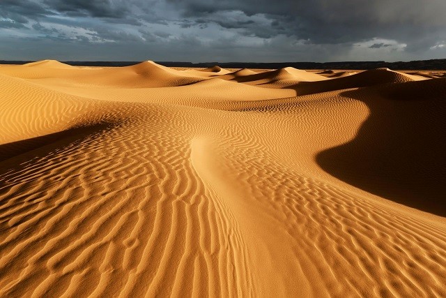 Vẻ đẹp tuyệt vời của cuộc sống trên sa mạc