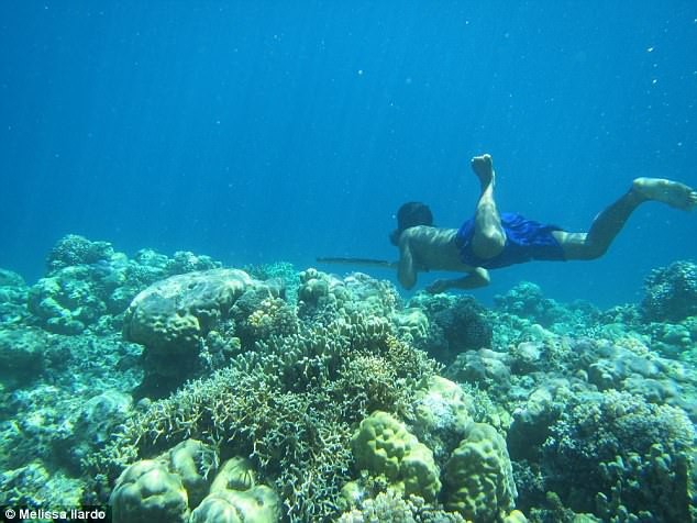 Tộc người Indonesia tiến hoá 'như cá', lặn 13 phút không cần thở