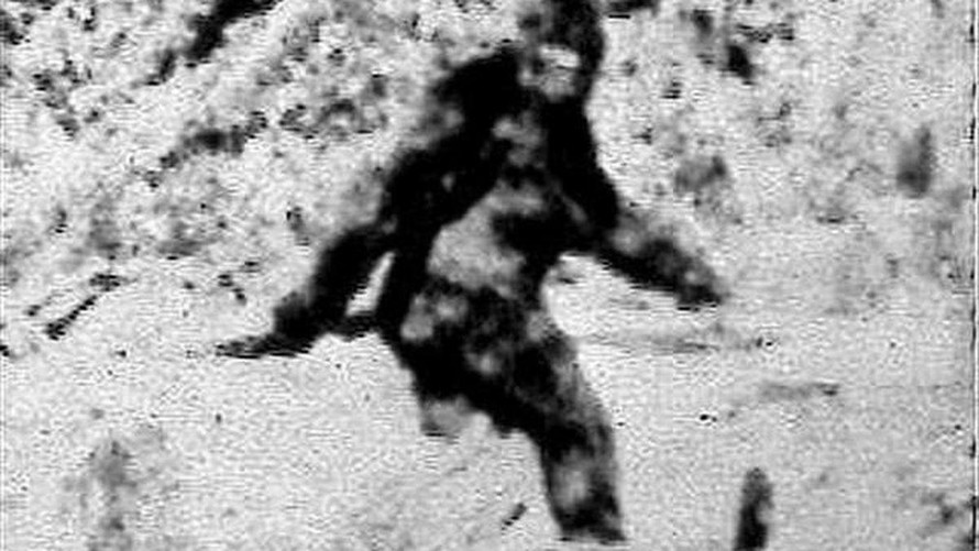 Nhân vật huyền thoại Bigfoot