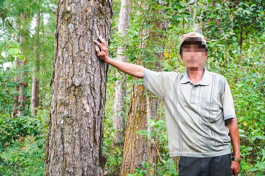 Ông B.T.T, người từng có nhiều năm phá rừng, giờ là Tổ trưởng Tổ bảo vệ rừng Ảnh: Đình Văn