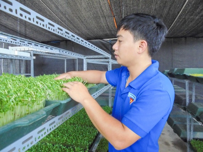 Bí thư Đoàn phường Nguyễn Văn Tiến bên cơ sở trồng rau mầm của mình Ảnh: N.T 