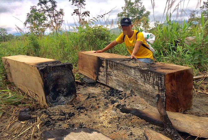 Phóng viên Tiền Phong tiếp tục vào hiện trường phá rừng giáp ranh huyện Ia Pa và Kông Chro lần 2 phát hiện nhiều lóng gỗ bị đốt cháy 