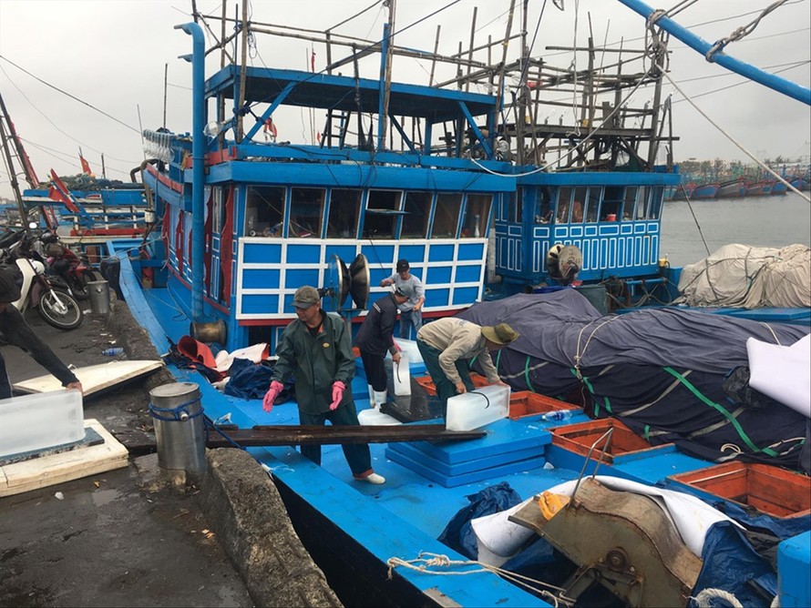 Thiếu bạn tàu, chi phí cao, hải sản ngày một khan hiếm…làm những chuyến đi biển của ngư dân thêm khó khăn Ảnh: Thanh Trần 