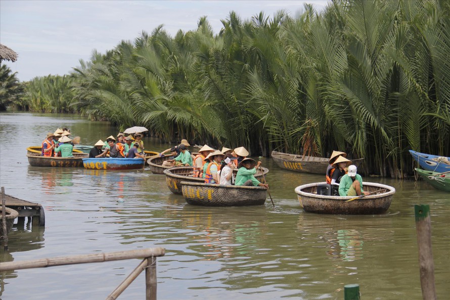 Mỗi ngày rừng dừa Bảy Mẫu đón cả ngàn lượt du khách đến tham quan Ảnh: Thanh Trần 