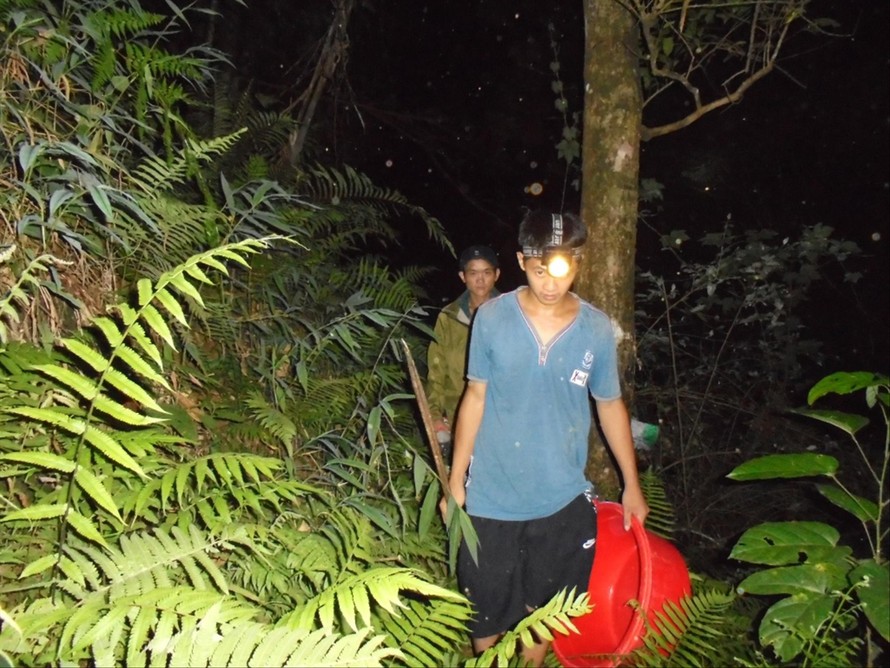 Việc săn ong đất chủ yếu diễn ra về đêm trong rừng với nhiều nguy hiểm rình rập ảnh: Nguyễn Thắng