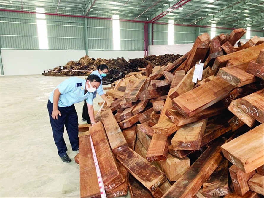 Lực lượng Hải quan TPHCM kiểm tra tang vật gỗ nhập lậu qua cảng Cát Lái 