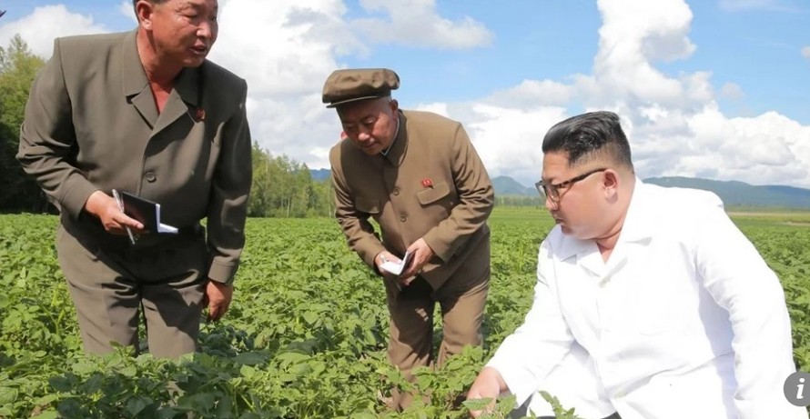 Ông Kim Jong-un bận đi thăm trang trại khoai tây ở tỉnh giáp biên giới Trung Quốc và là lý do khiến ông không đón tiếp Ngoại trưởng Mỹ Mike Pompeo. Ảnh: AFP