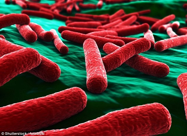 Bên cạnh những vi khuẩn E.coli gây ra bệnh đường ruột,thì hầu hết chúng lại có lợi.