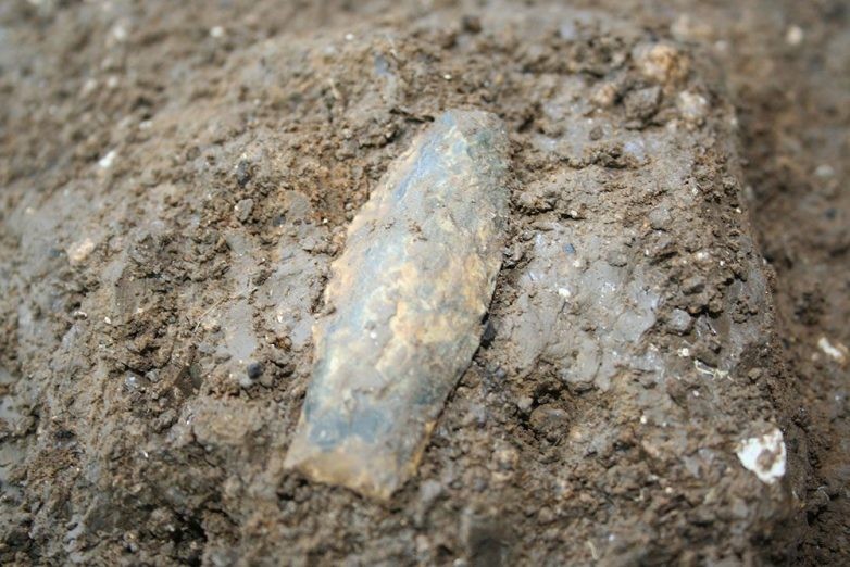 Mũi lao cổ vừa được tìm thấy được cho rằng có niên đại cách đây hơn 15.500 năm.