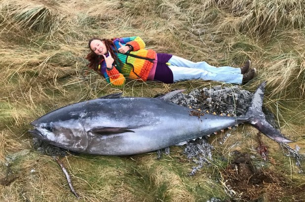 Người dân vùng biển Scotland thích thú chụp ảnh chung với xác chú các ngừ đại dương mắc cạn.