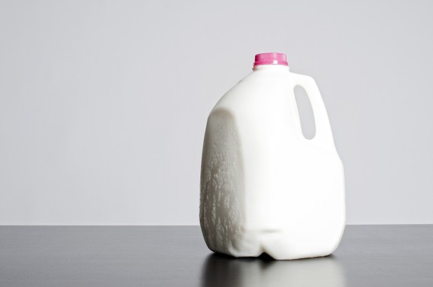 Uống gần 4 lít sữa/ ngày được cho là biện pháp tăng cân điên rồ.