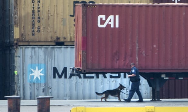 Chó nghiệp vụ và nhân viên hải quan kiểm tra các container hàng tại cảng Phildephia. Ảnh: The Guardian 