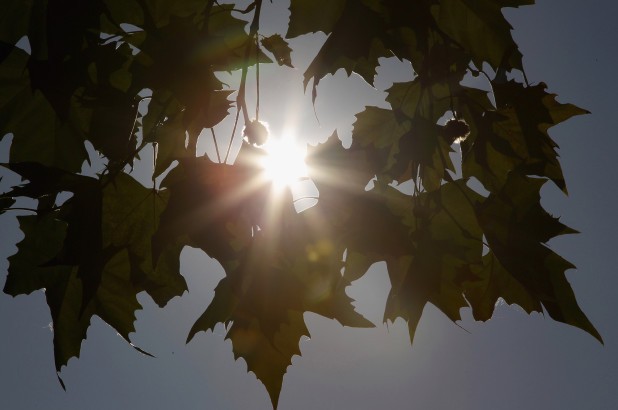 Các quốc gia Bắc Âu thiếu ánh nắng mặt trời là những quốc gia có nguy cơ cao nhất.