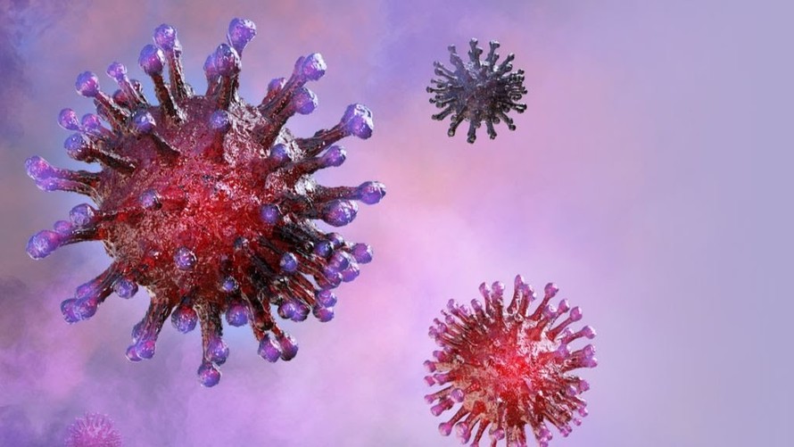 Các nhà khoa học đã xác định được biến thể của virus SARS-CoV-2 gây ra đại dịch COVID-19