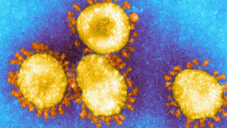 Các biến thể mới của SARS-CoV-2 có thể bị tiêu diệt bởi vắc xin COVID-19