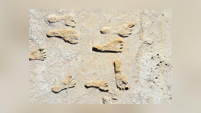 Những dấu chân hóa thạch mới được phát hiện tại bang New Mexico, Mỹ,