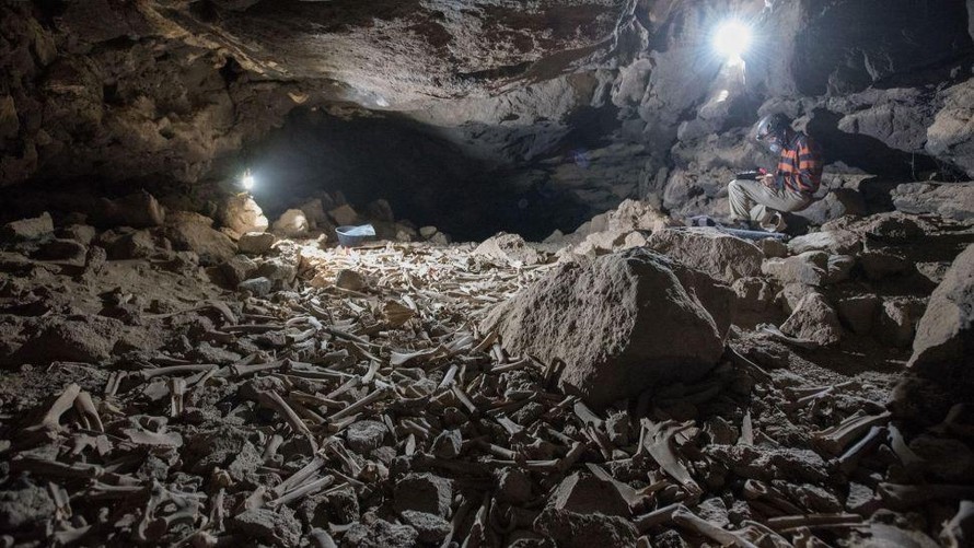 Các nhà nghiên cứu tìm được một số bộ xương người trong hang động chứa đầy các bộ xương ở Ả Rập Xê Út.