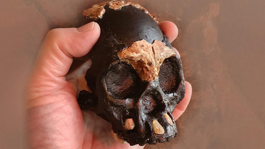 Hộp sọ của người cổ đại được tìm thấy tại một hang động hẻo lánh ở Nam Phi.