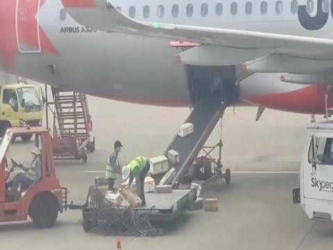 Hai nhân viên bốc xếp của Jetstar quăng quật đồ của khách bị sa thải. Ảnh cắt từ clip.