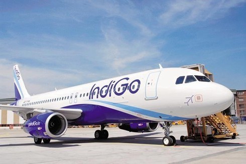 IndiGo hiện chiếm 49% thị phần mạng đường bay nội địa của Ấn Độ.