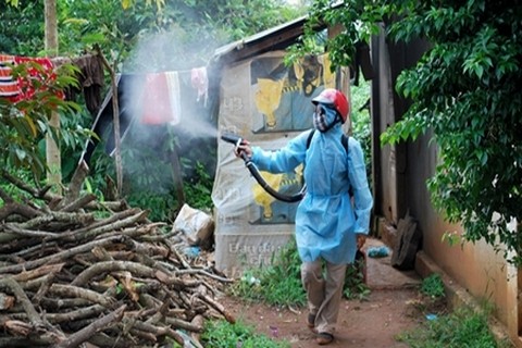 Hoá chất diệt muỗi chỉ có tác dụng trong một đến hai tiếng, nên biện pháp chủ yếu vẫn là diệt bọ gậy, làm sạch môi trường. Ảnh minh hoạ: Internet
