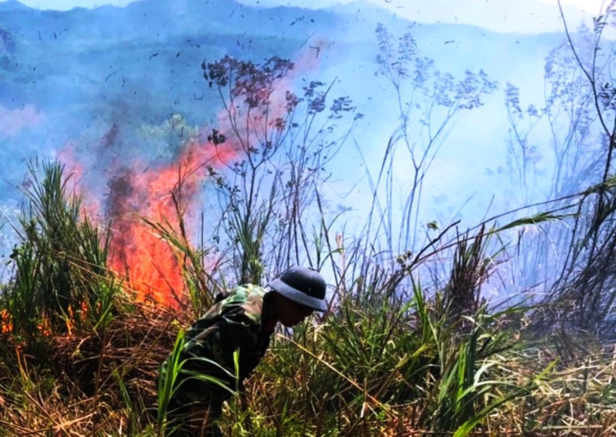 Lại xảy ra cháy rừng tại tỉnh TT-Huế