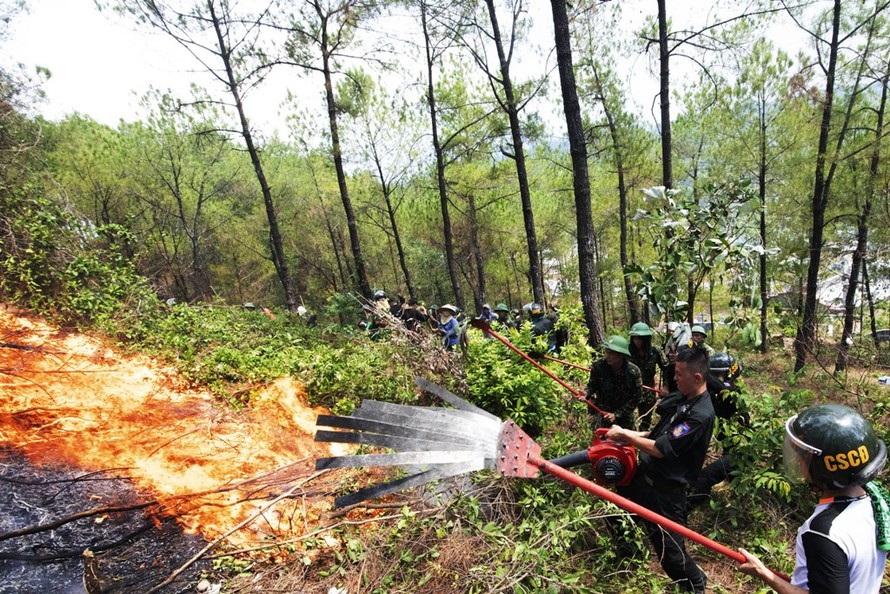 Các lực lượng chức năng nỗ lực ngăn ngọn lửa lan rộng ra nhiều vùng rừng cảnh quan cạnh trung tâm thành phố Huế (ảnh Trương Vững)