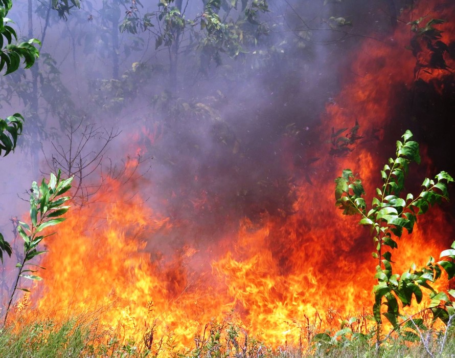 Biển lửa bao trùm lên những cánh rừng tái sinh rộng lớn tại xã Phong Hiền (huyện Phong Điền, tỉnh TT-Huế)