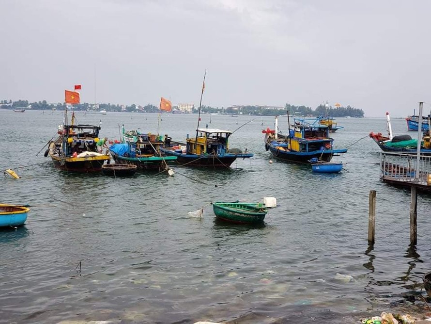 Quảng Nam nghiêm cấm tàu thuyền ra khơi, khẩn trương về neo đậu trú tránh bão