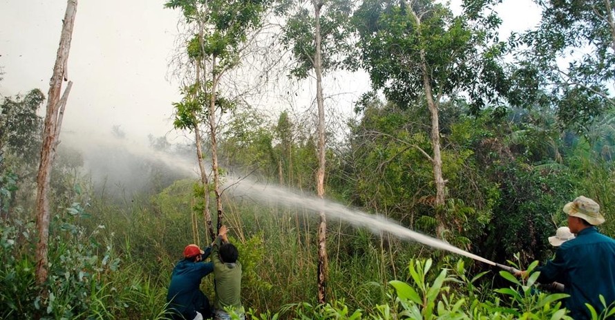 Chữa cháy rừng tràm U Minh Hạ (Ảnh tư liệu)