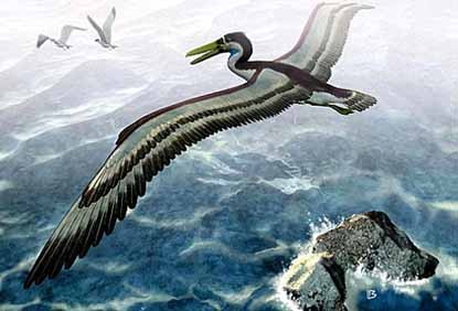 Quái vật chim cổ đại có sải cánh dài ngang phi cơ
