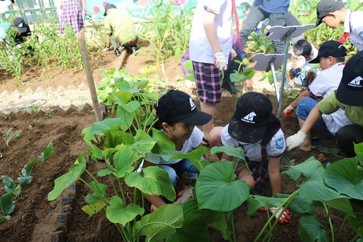 Các em nhỏ cùng với thầy cô và các khách mời trực tiếp trồng cây cho vườn mới