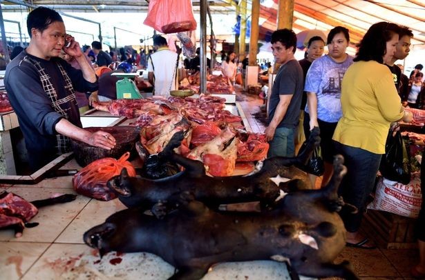 Chợ thịt tươi nổi tiếng ở Indonesia vẫn tấp nập bất chấp đại dịch COVID-19