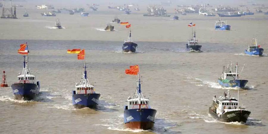 Tàu cá Trung Quốc thường đánh bắt theo nhóm. Ảnh: BI