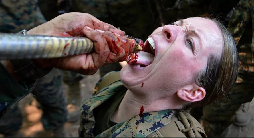 Thủy quân lục chiến Mỹ sẽ ngừng việc uống máu rắn trong tập trận Cobra Gold 2021