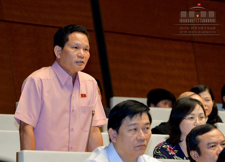 Nhiều đại biểu lên tiếng về phiên xử bác sỹ Hoàng Công Lương