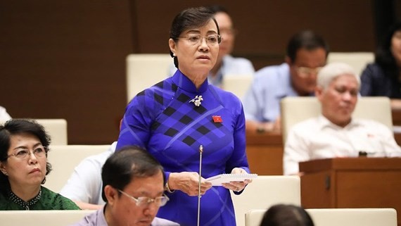 Bà Nguyễn Thị Quyết Tâm thấy "thiển cận, đau lòng" khi đặt vấn đề giảm đại biểu thì giảm bao nhiêu tiền